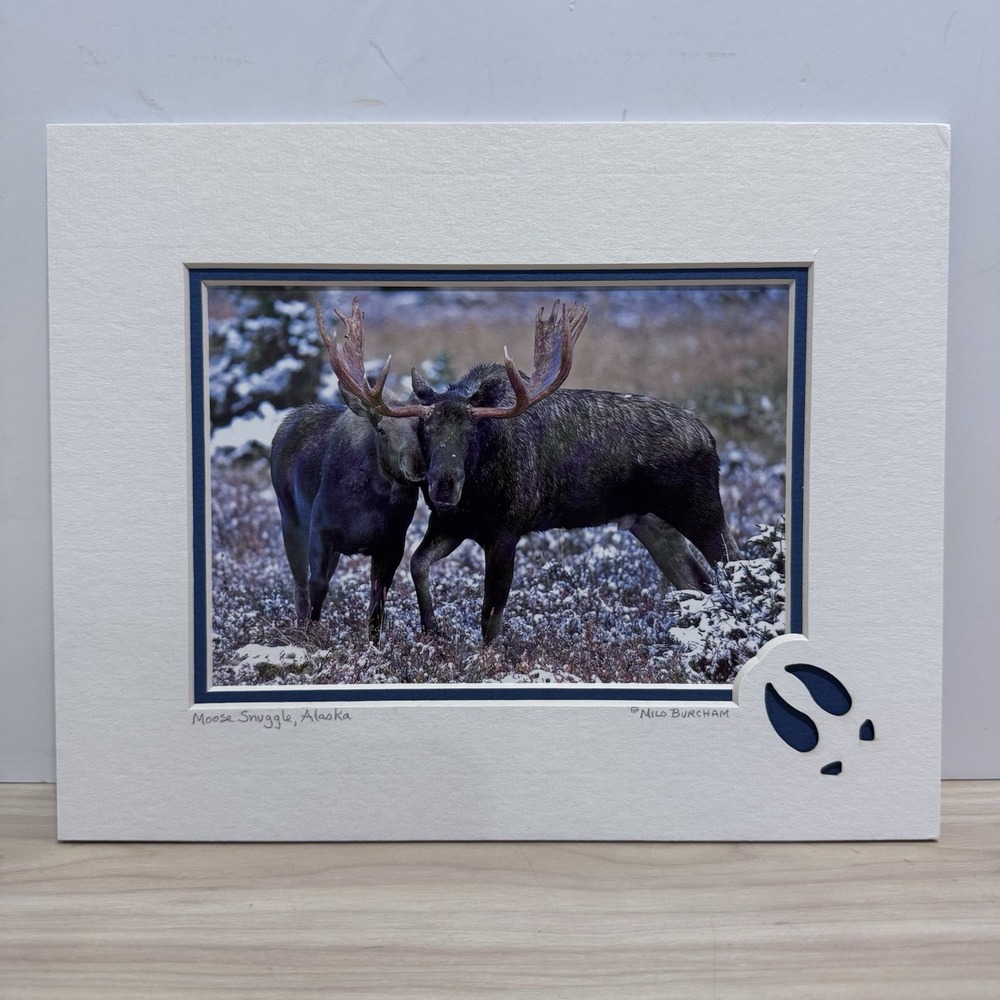 Greatland Greetings Anchorage Alaska "Moose Snuggle" Milo Burcham Matted Print